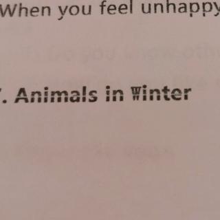 7.animals in Winter