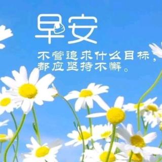 四部曲助力教育事业