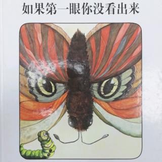 如果第一眼你没看出来🐛