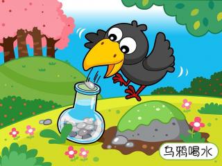 《The crow and the water bottle》乌鸦喝水