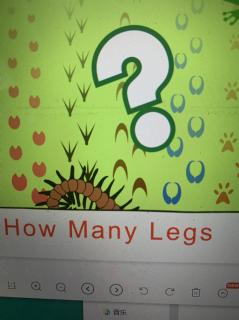 how many legs
