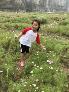 赵旭怡《小河的花》