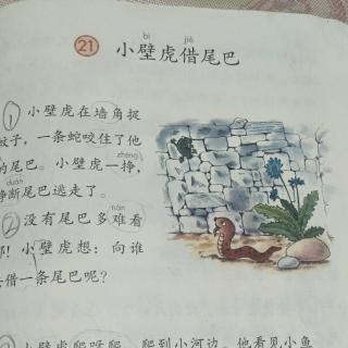 21小壁虎借尾巴