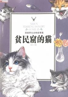 《贫民窟的猫》1西顿野生动物故事集