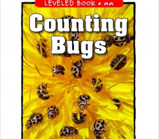 Raz aa Counting Bugs