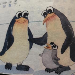 小企鹅和爸爸