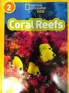 Coral Reefs