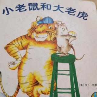 小🐭和大🐯5