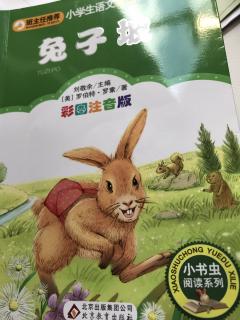 兔子破兔妈妈的担忧