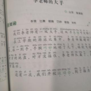 李老师的大手