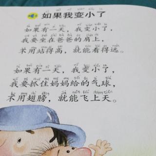 如果我变小了