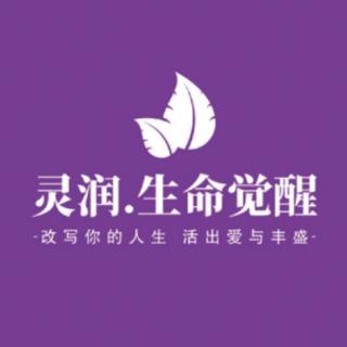 结尾：灵性家庭系统排列展望