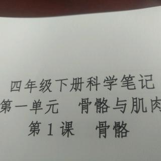 苏教版科学四年级下册1单元骨骼与肌肉