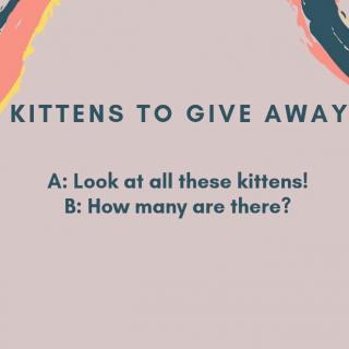 KITTENS TO GIVE AWAY