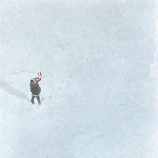 我一生都没有抵达的地方，落满了雪