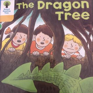 the dragon tree