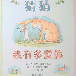 快乐贝比晚间故事《猜猜我有多爱你》