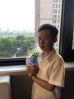 小银的小学 在幼儿园学过的人生道理