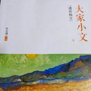 《河里漂来的幸福》