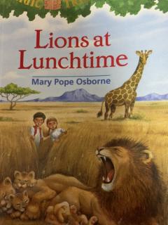 27 Lions at Lunchtime(8)
