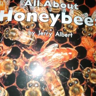 All     About     Honeybees