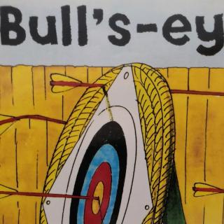 Bull's-eye