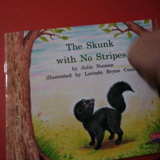 The      skunk    with   No    stripes挑战