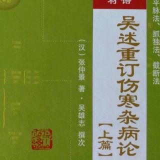 15.《吴述重订伤寒杂病论（上篇）》概论四