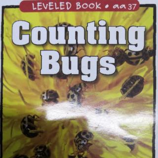 RAZAA COUNTING BUGS