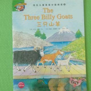 The Three Billy Goats
