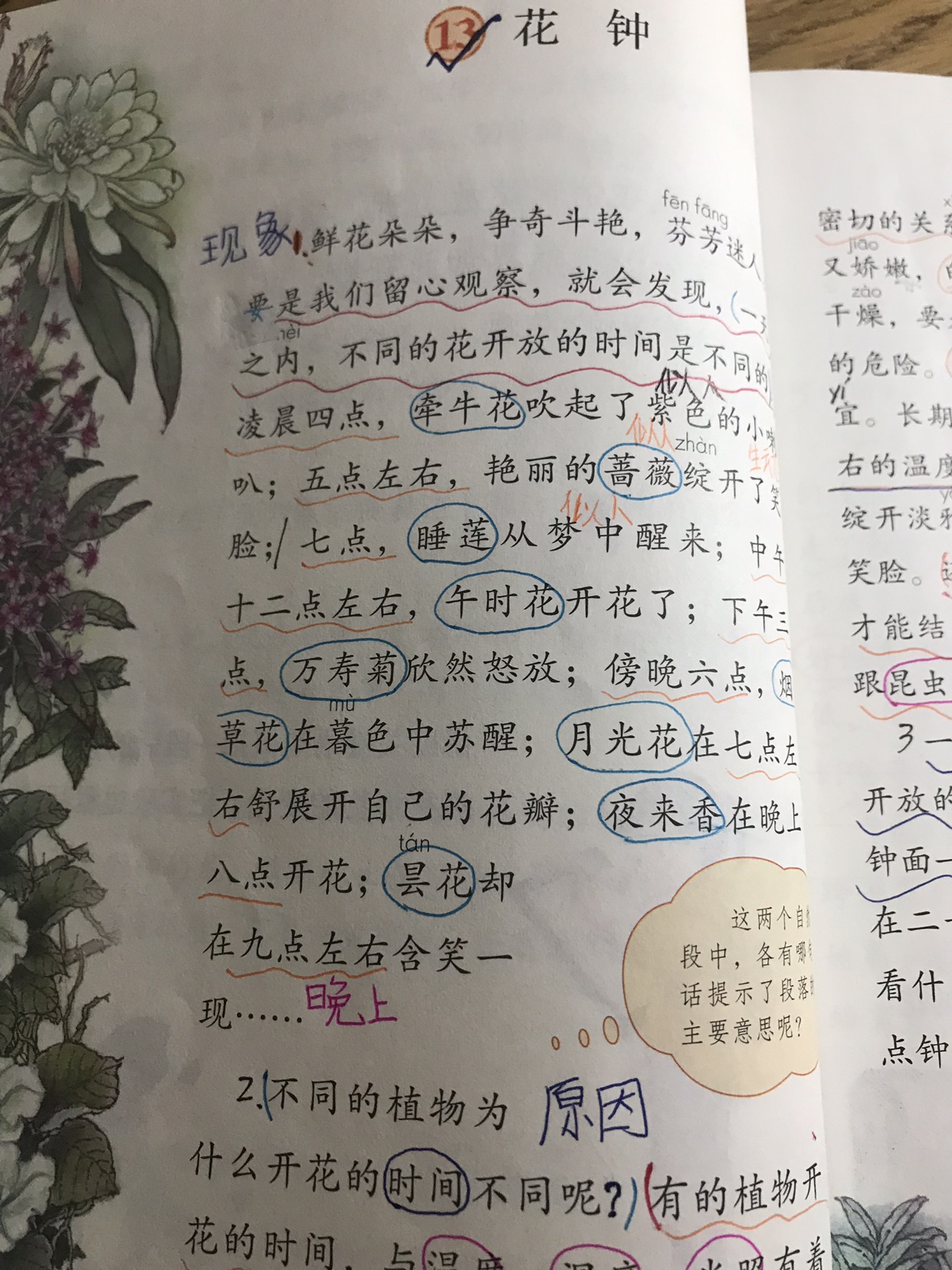 课文13:花钟