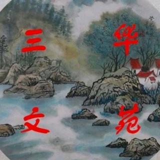 家乡，离我越来越远  作者：张家中