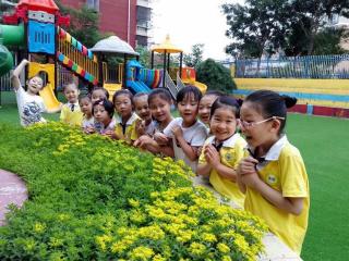 幼小衔接到底“接”的是啥？