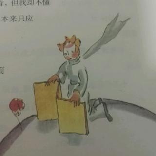 小王子 第八章