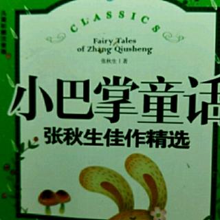 小巴掌童话躲在树上的雨