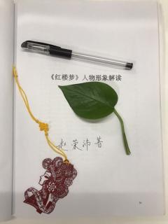 11·2 冰火宝钗：形与神