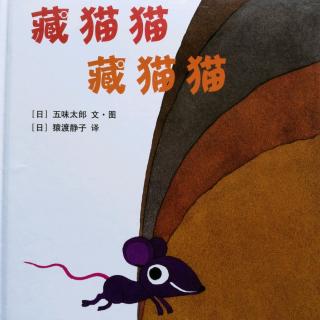 跳跳妈妈《藏猫猫 藏猫猫》