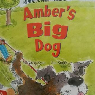 amber's big dog