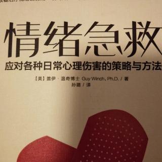 情绪急救丧失与精神创伤