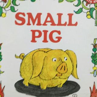 橙子宝宝讲故事Small pig