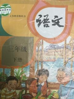 课文4昆虫备忘录📕