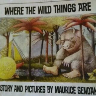 刘书畅《Where the Wild Things Are》Part6