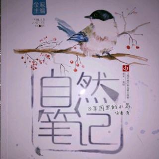 自然笔记之《果园里的小鸟》第105∽120面