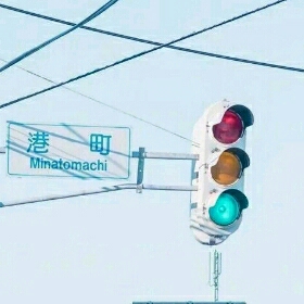 the human traffic signal(1)