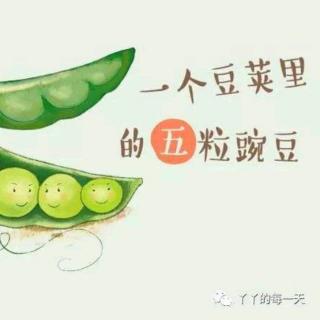 一个豆荚里的五粒豆