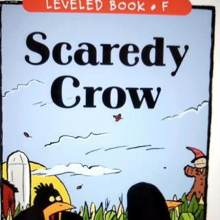 scaredy crow