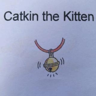 7 Catkin the Kitten