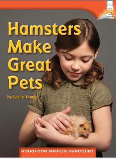 Hametster makes great pets 仓鼠是最好的小宠物