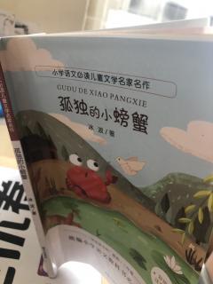 孤独的小螃蟹