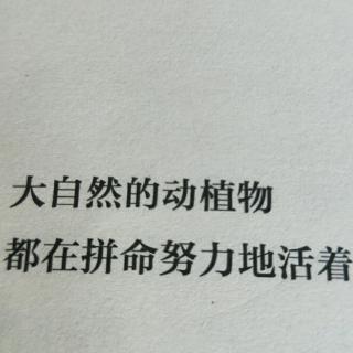 付出不亚于任何人的努力第2题大自然的动植物都在拼命努力的活着